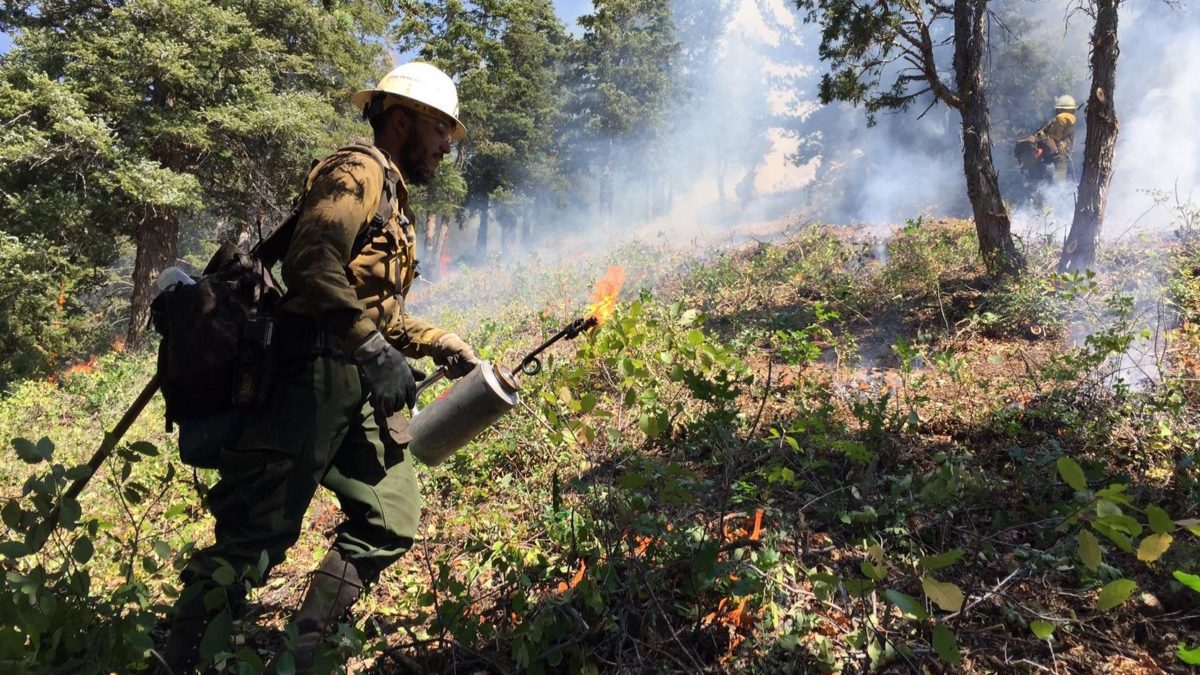 The Tank Hollow fire burned in the Sheep Creek drainage on the Spanish Fork Ranger District of the Uinta-Wasatch-Cache National Forest. This lightning-caused fire started on August 11th, 2017.