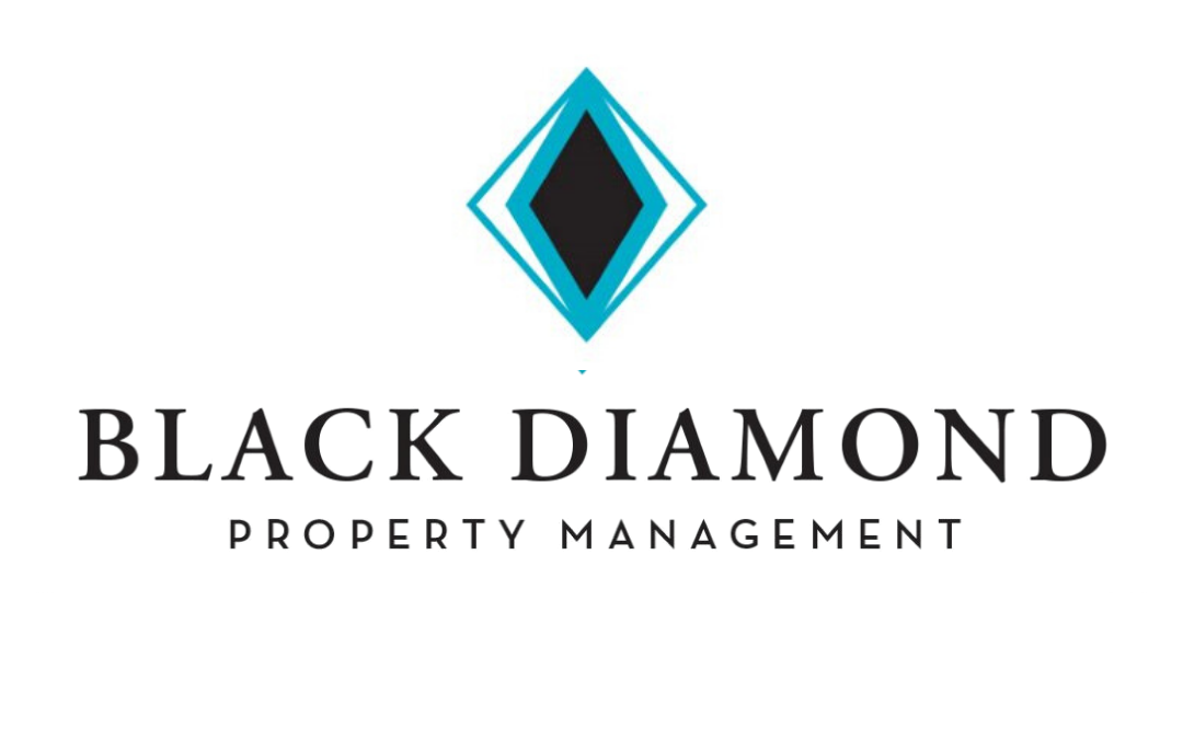 Local Business Spotlight: Black Diamond Property Management - TownLift ...