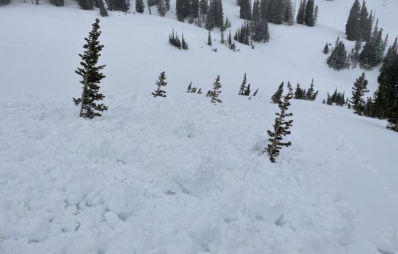 Due to wet conditions, a skier triggered an avalanche at Alta Ski Area on West Rustler near the Christmas Tree run.