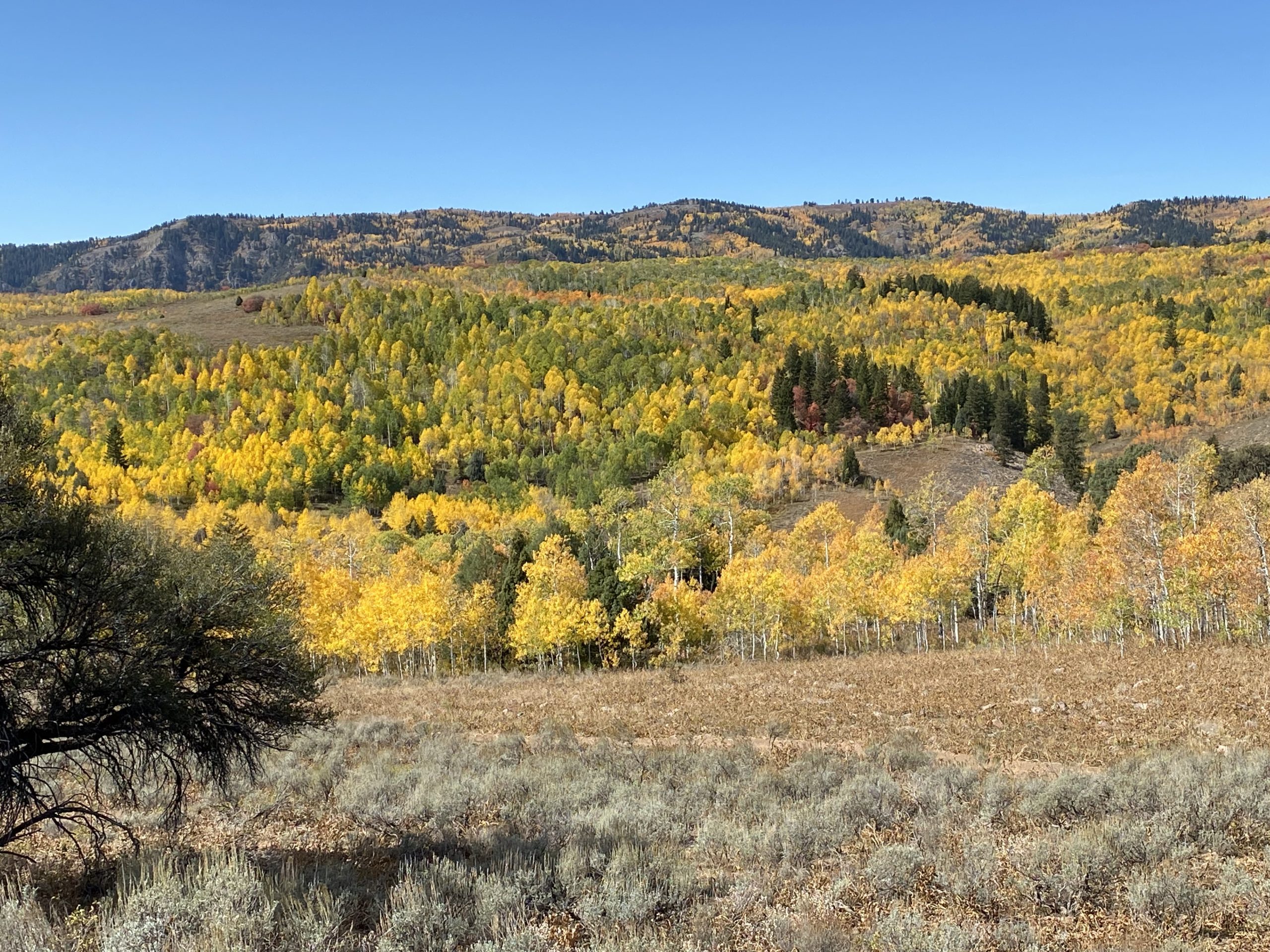  4M Allocated By DWR Habitat Council To Preserve And Manage Utah s 