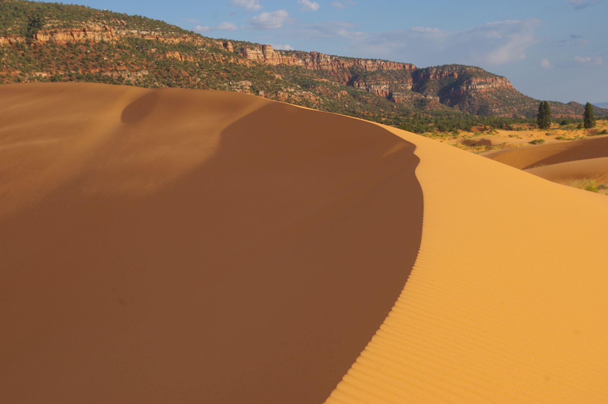 A teenager visiting southern Utah's Coral Pink Sand Dunes died on Sunday after he was entrapped beneath a sand dune that had collapsed on him a day prior.