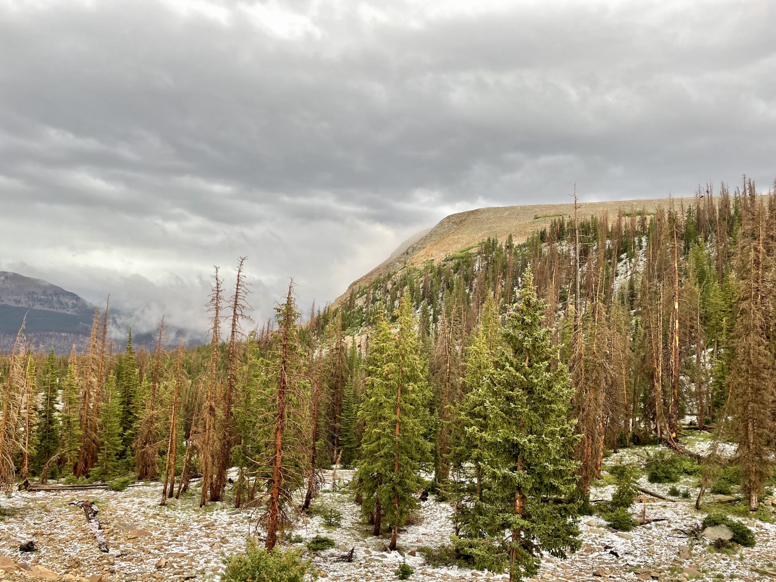 Project locations range from Parley's Summit and Weber Canyon to the Provo River watershed and the north slope of the Uintas.