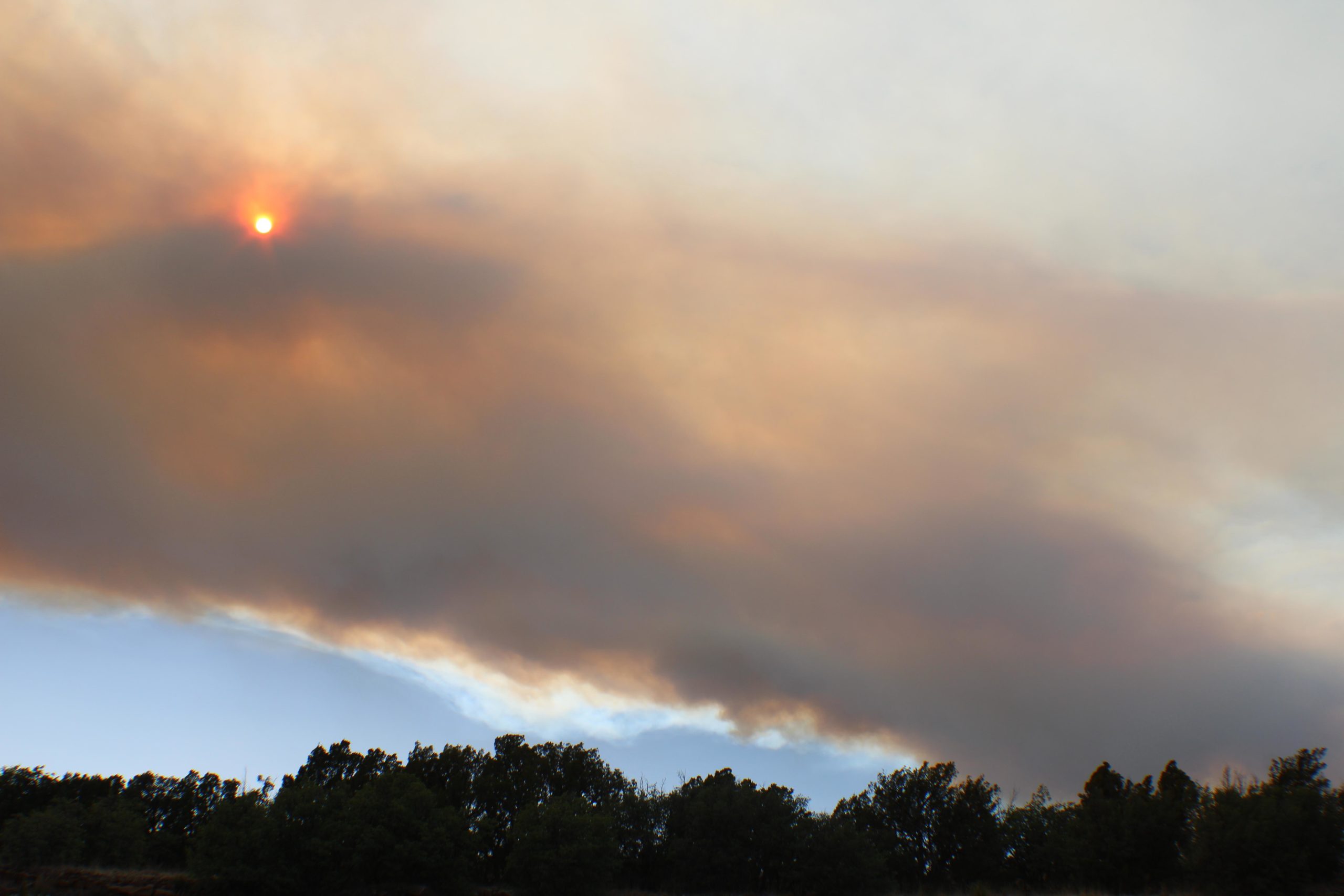 The Hermit's Peak/Calf Canyon Fire in New Mexico on Thursday.