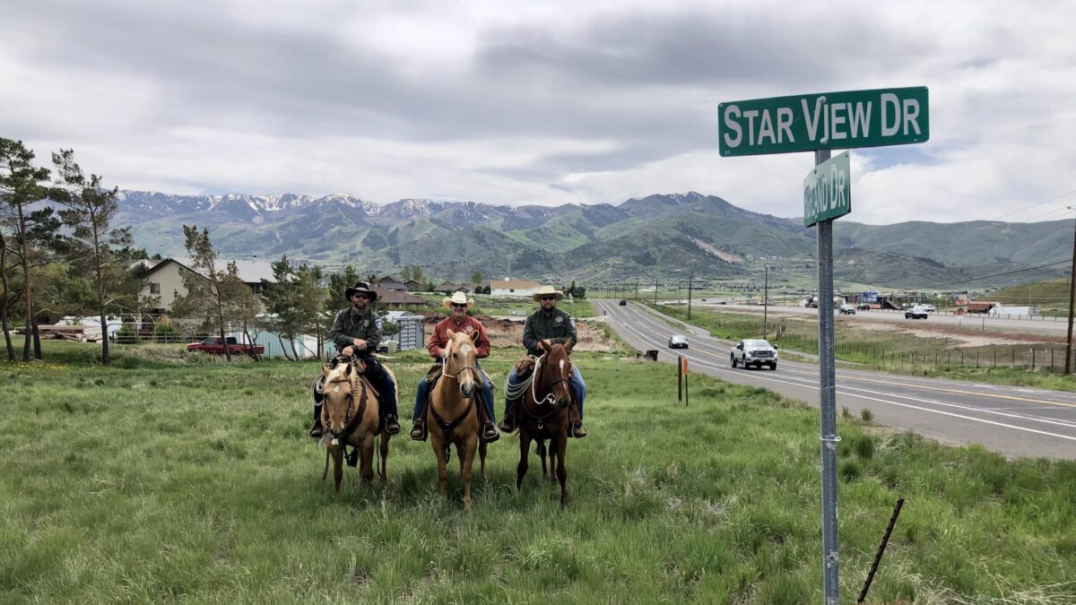 (L - R) Horses Sky, Teddy, and Grace were walking the neighborhoods near Kimball Jct. with members of the Summit County Mounted Posse conducting training exercises, getting to know the community and encouraging the community to get to know them.