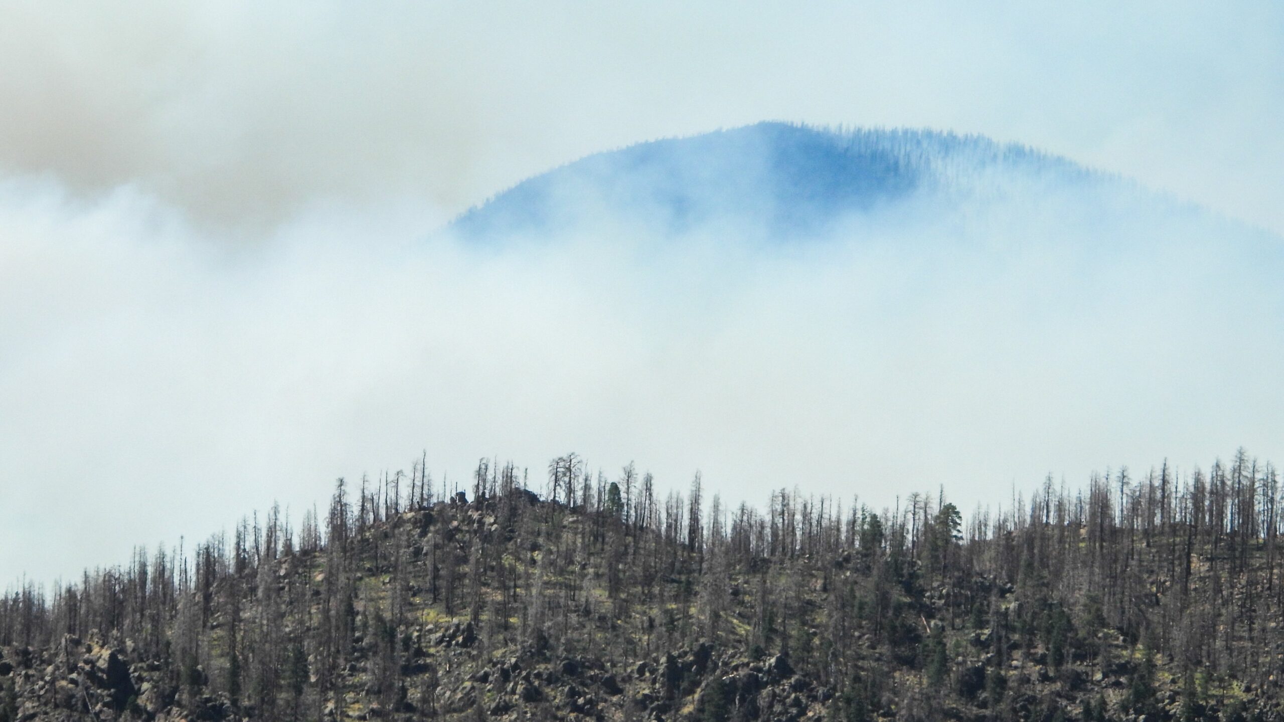 The Pipeline Fire in Arizona on Monday.