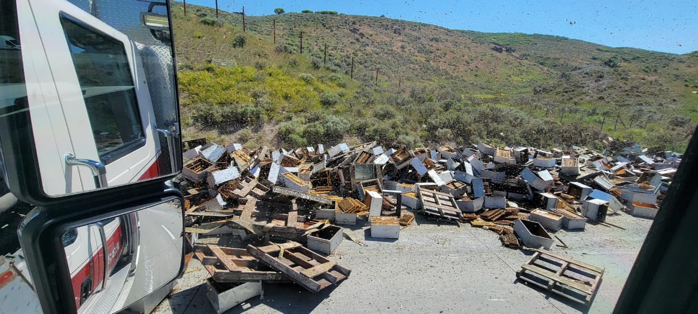 The semi truck was hauling 200 beehives.