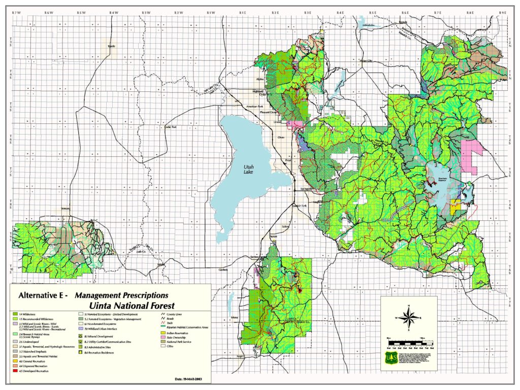 Help protect our national forests when visiting this summer - TownLift ...