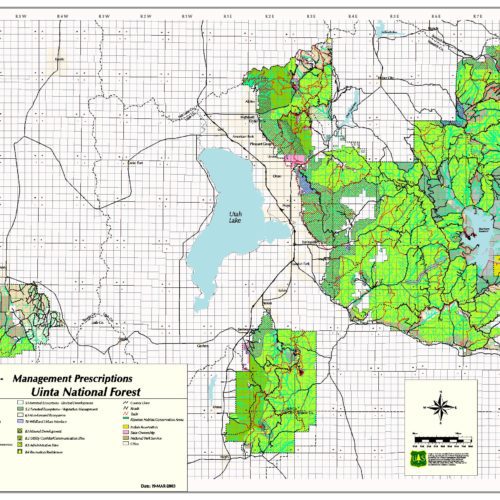 Help protect our national forests when visiting this summer - TownLift ...