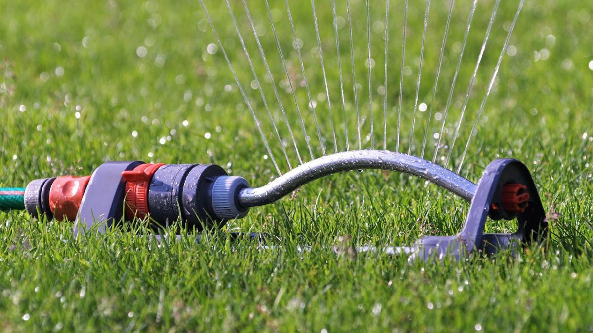 Watering Lawn