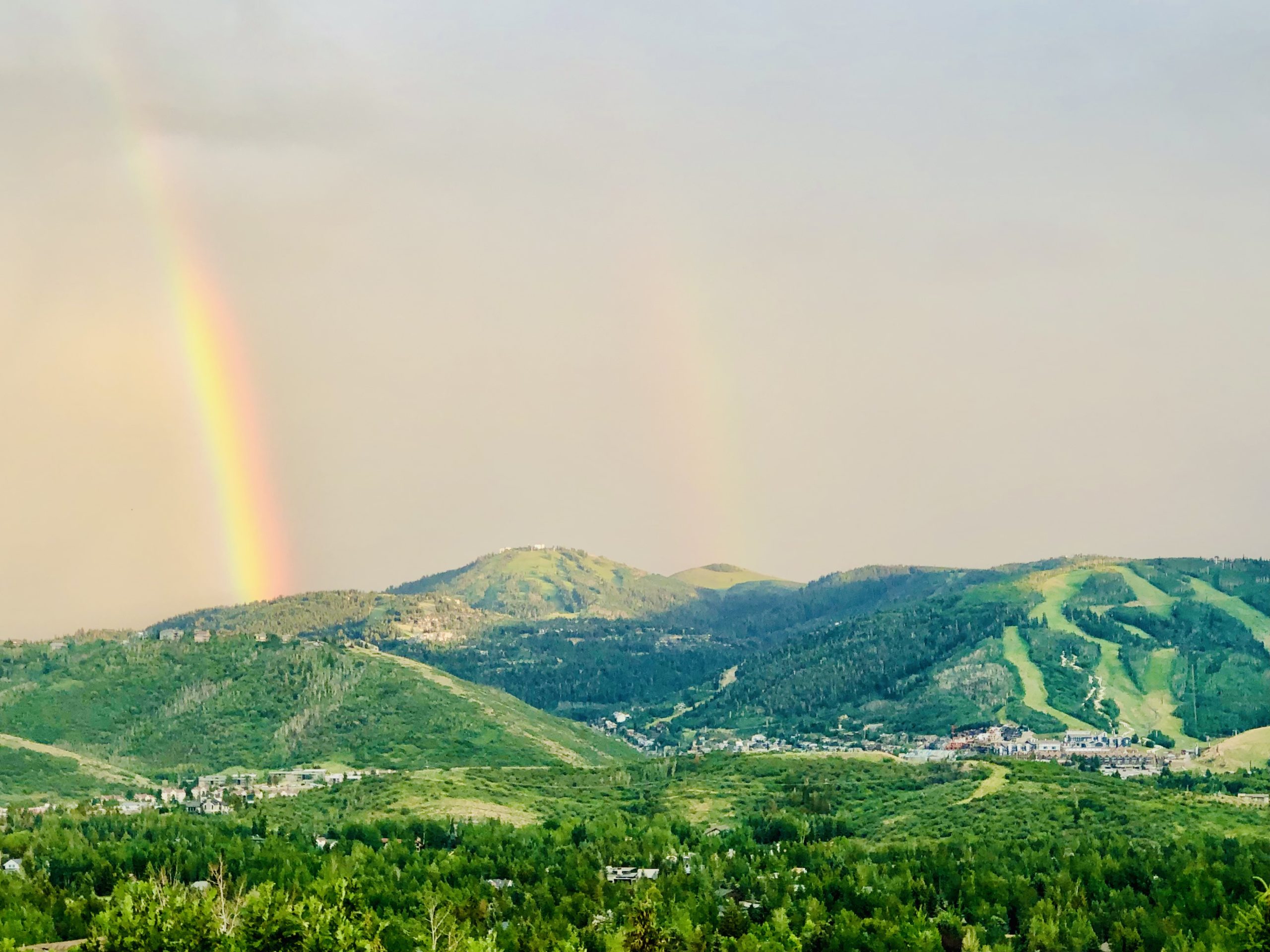 Park City's nonprofits are a vital part of the community and are struggling to find much needed office space, and at a reasonable price.