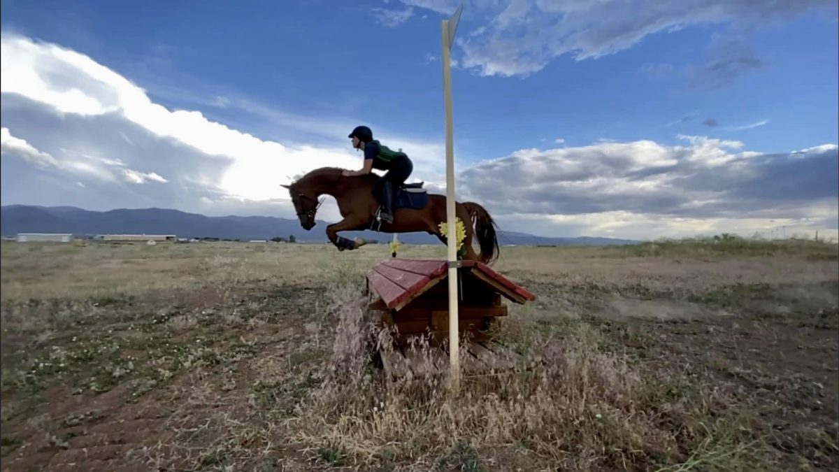 Park City teenager Ivy Melman cross-country jumping on ten year old Teddy.