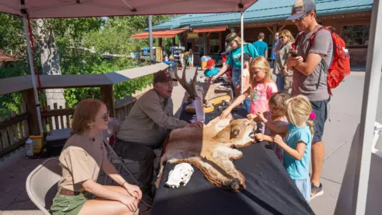 The DWR booth teaching families about wildlife safety