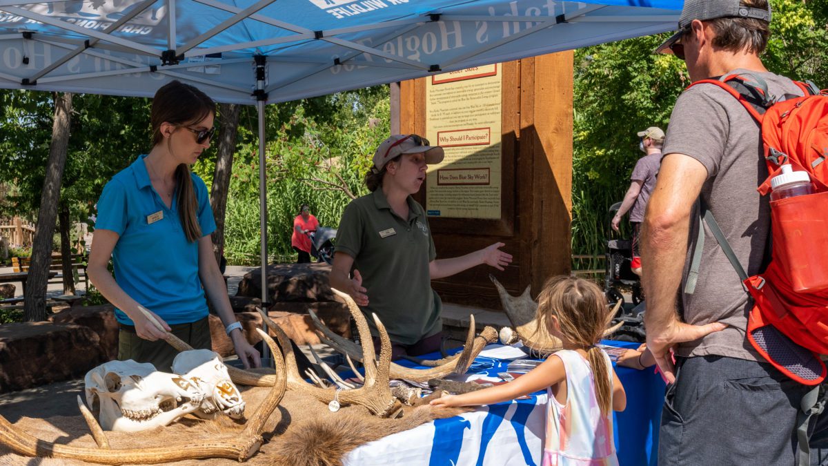 Tori Bird of Hogle Zoo talks to a family about moose safety.
