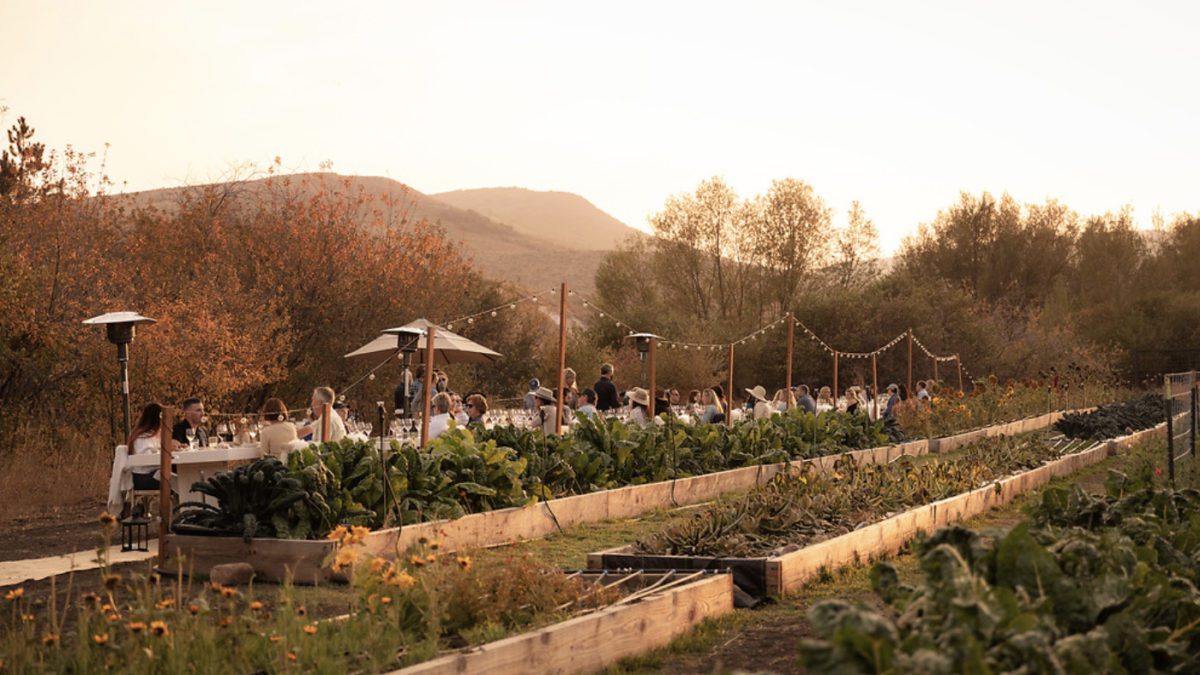 Join for one or more events at the Lodge at Blue Sky's Women in Food and Farming series.