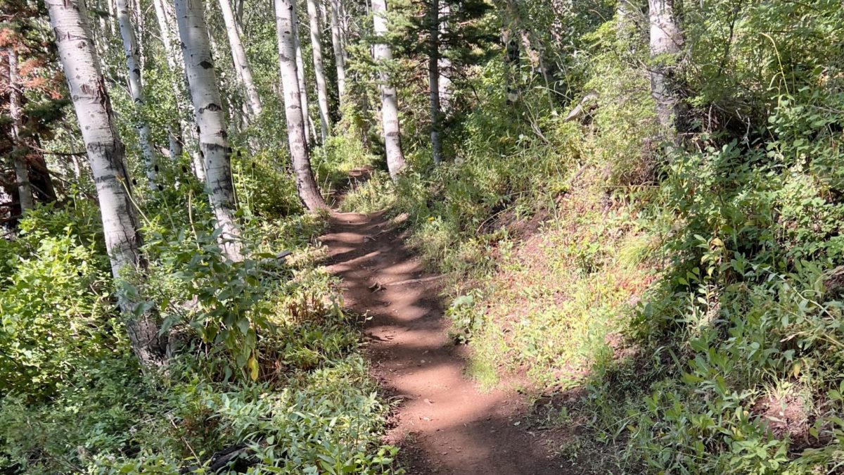 The trail where some hikers encountered a bear near Park City.