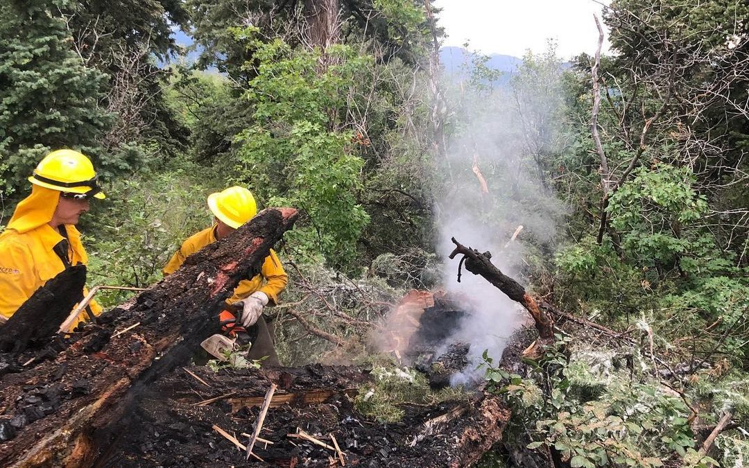 Hailes Loop Road Tree Fire