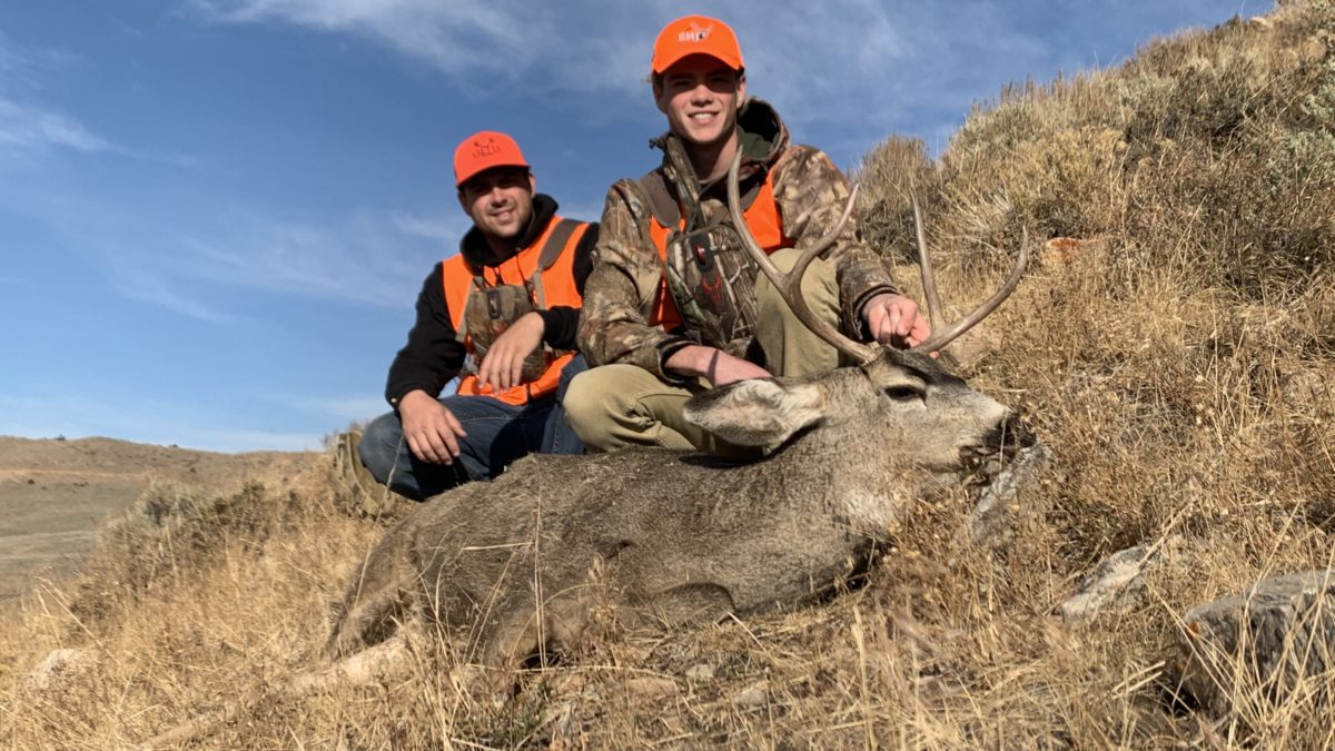To monitor the spread of CWD in the state, the DWR conducts check stations each fall during buck deer hunts to test harvested deer in specific hunting units.
