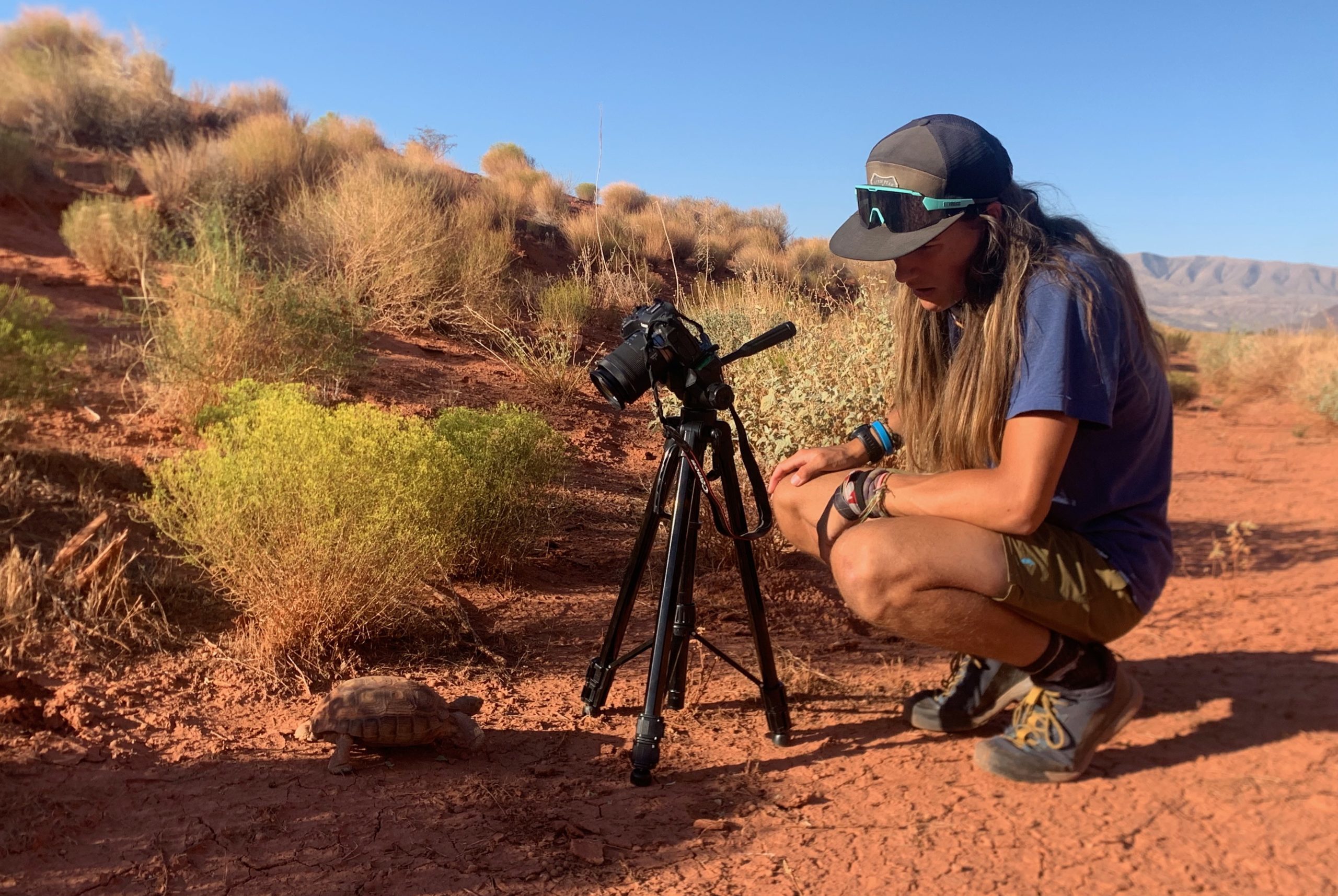 Liam Snihurowych filming Desert Tortoises in Southern Utah before Sir David Attenborough performed a voice over for a nature documentary.