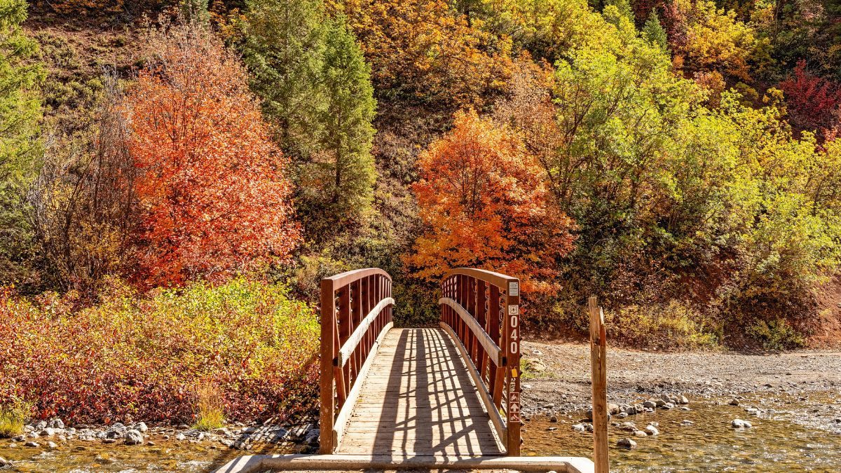 When to expect fall leaves in Park City - TownLift, Park City News