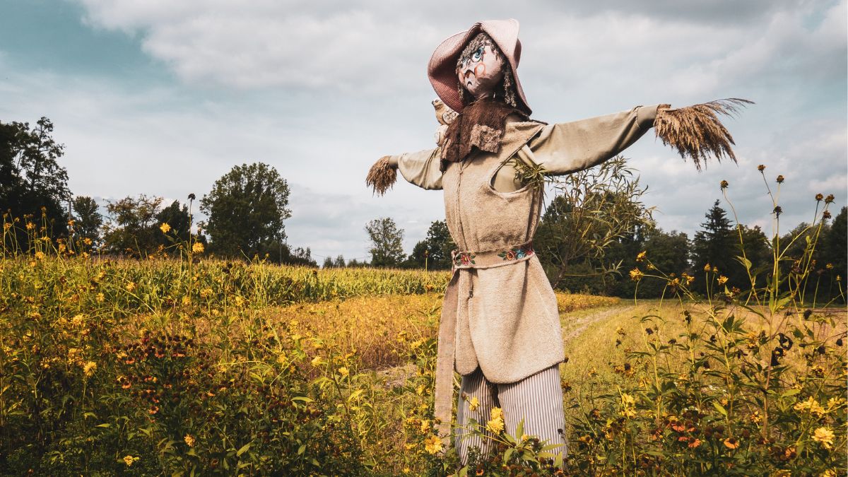 First annual Scarecrow Walk at High Star Ranch