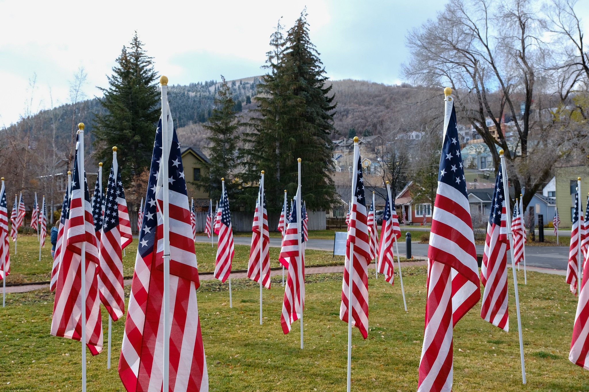 2021 Field of Flags