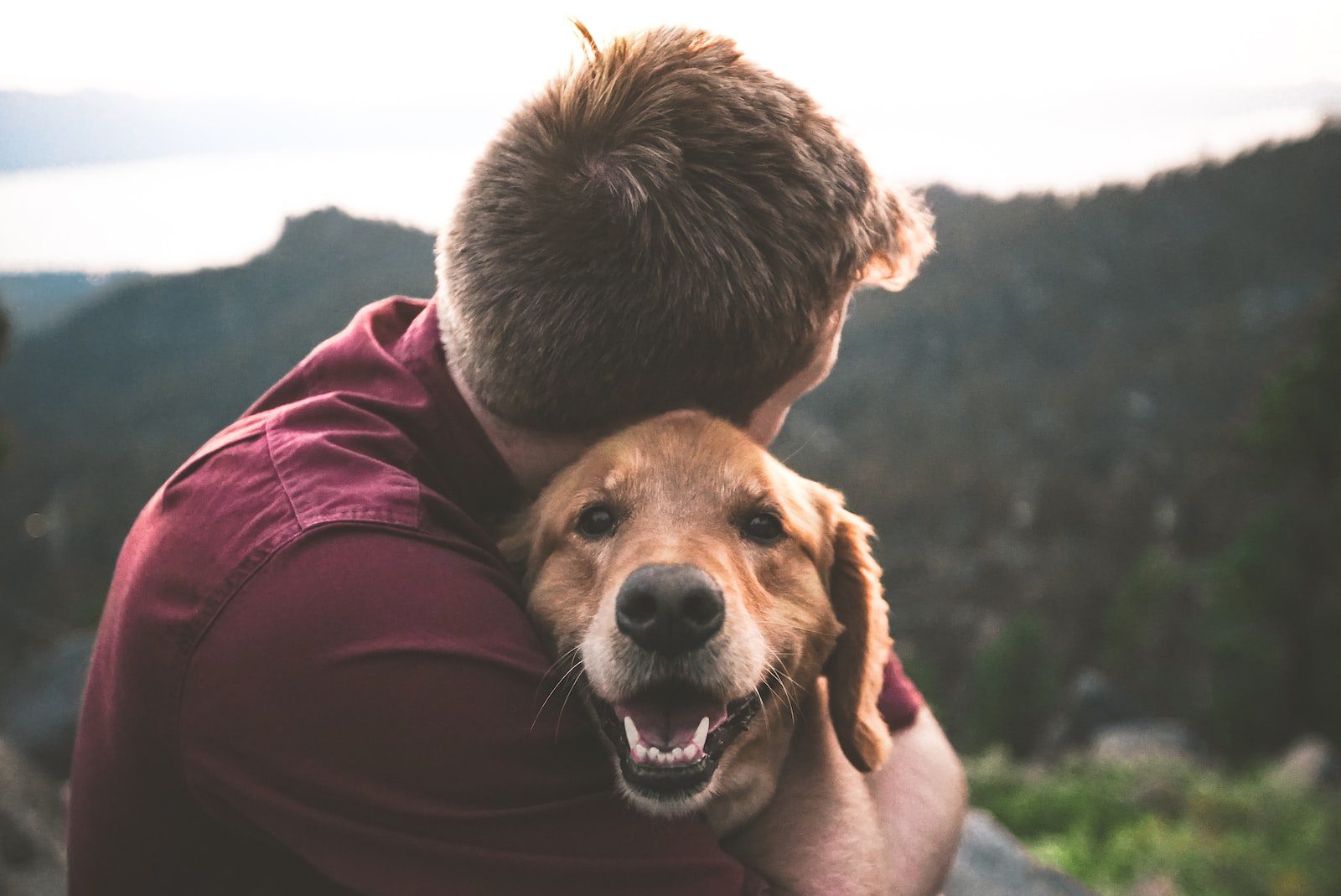 Join Nuzzles & Co. and Summit County Animal Control for its first-ever Adopt-A-Ton on September 17.