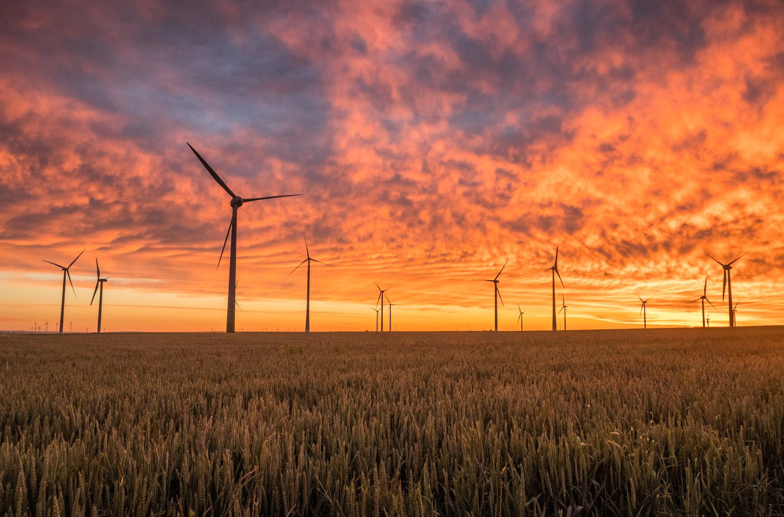 The federal government already issues permits to kill eagles. But Thursday's proposal calls for new permits tailored to wind-energy projects, power line networks and the disturbance of breeding bald eagles and bald eagle nests.