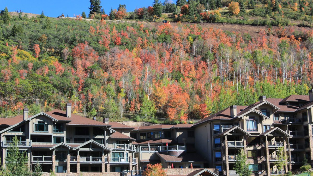 "We’re now experiencing a normalizing or stabilizing of our market," Julie Snyder realtor and owner of Inhabit Park City said of the current trends.