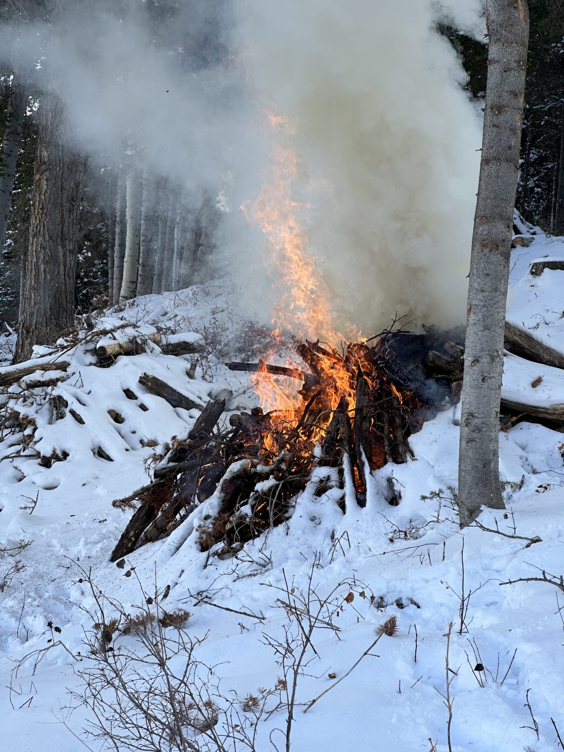 A prescribed burn, Oct. 2022.