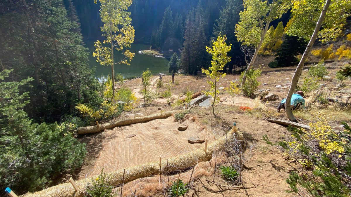 Local organizations, government, and volunteers worked to help restore the former Bloods Lake trail from erosion and receding on Friday, October 21.