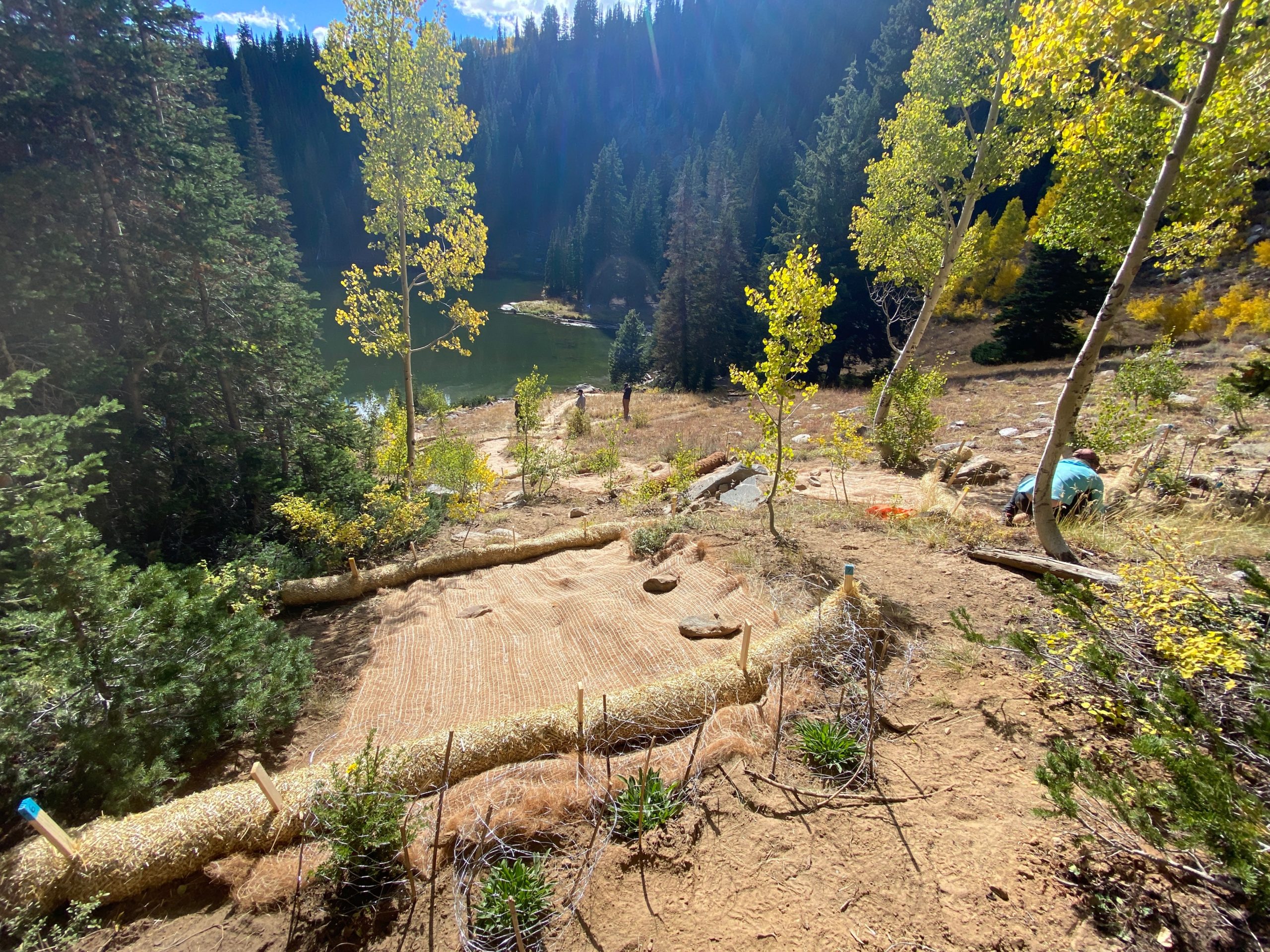 Local organizations, government, and volunteers worked to help restore the former Bloods Lake trail from erosion and receding on Friday, October 21.