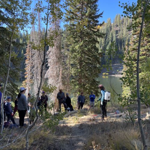 Volunteers help restore degraded Bloods Lake social trails - TownLift ...