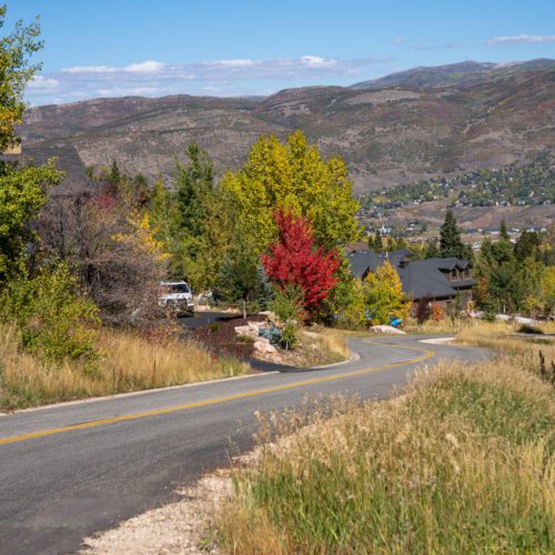 Pinebrook fall colors.