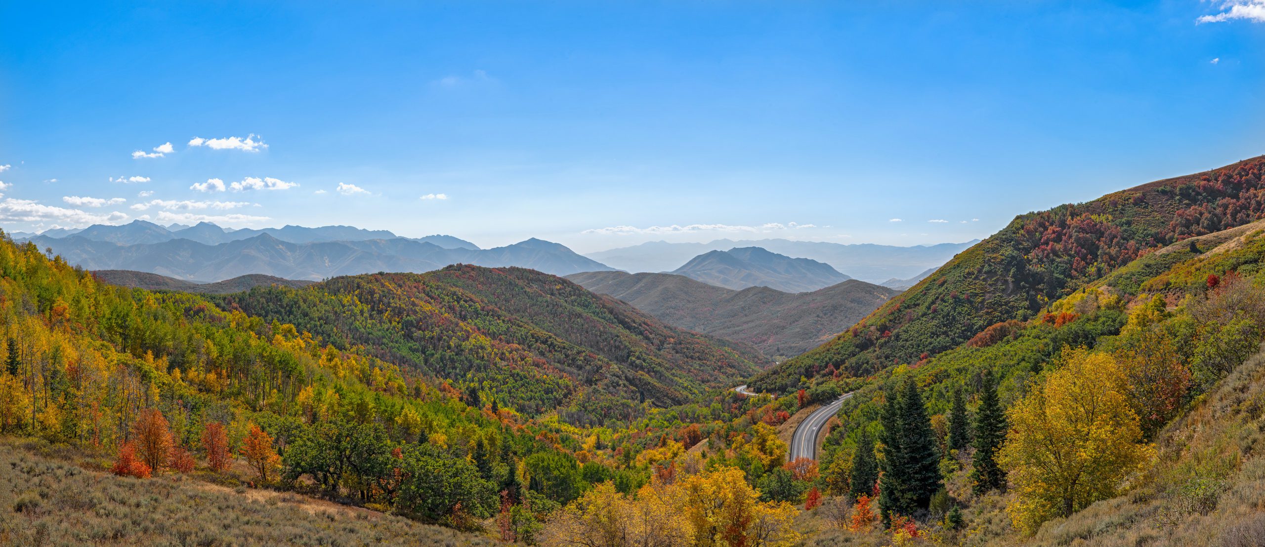 Fall colors off of Highway 65.