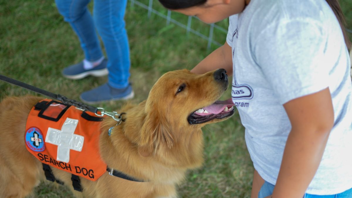 Great Basin K9 SAR has responded at the request of public safety agencies throughout the Intermountain West since 2009 with volunteers and their dogs.