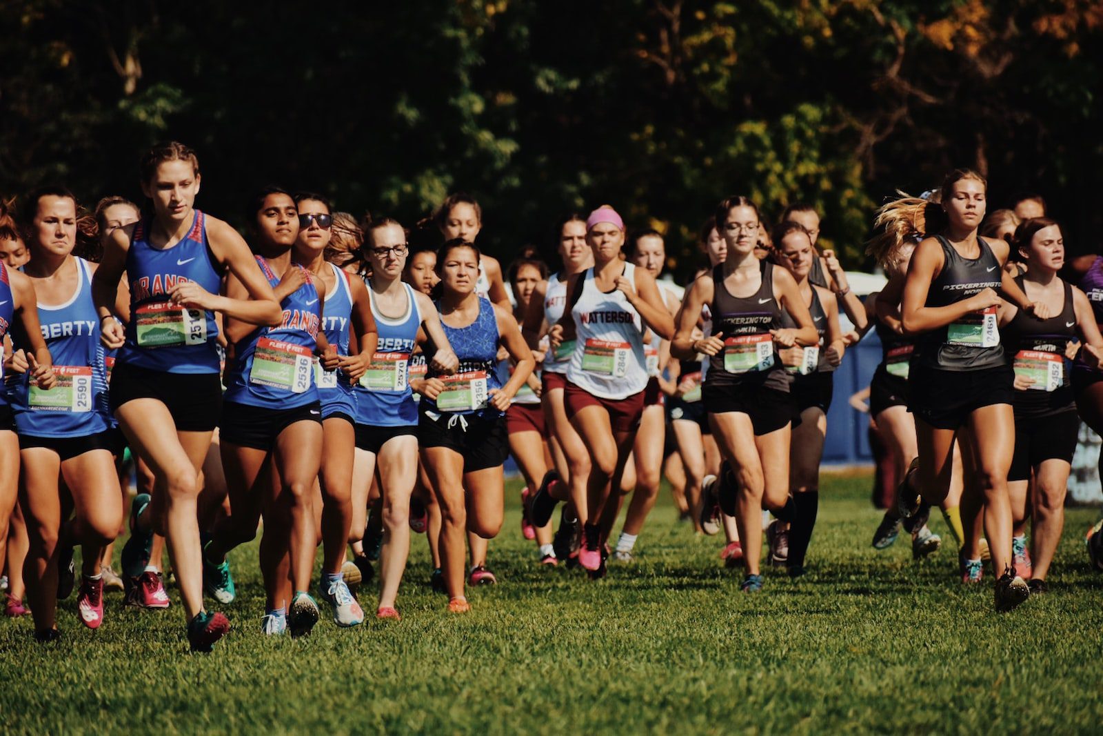 Park City High School Cross Country Running Team competes at the Utah State Championships in Salt Lake City.