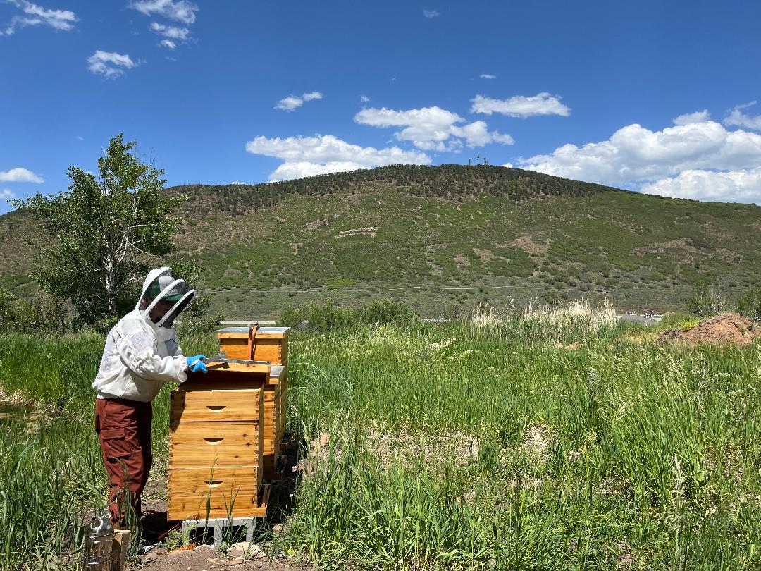 Root Revival planting veggetables and bee boxes throughout Summit County.