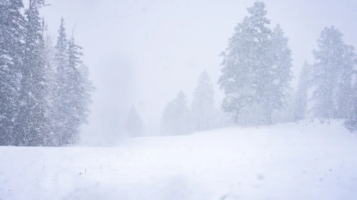 Big early season snowfall on Birds Eye at Deer Valley Resort