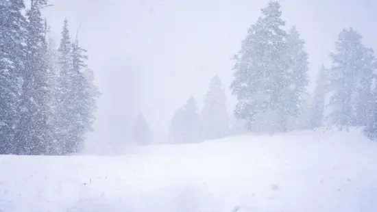 Big early season snowfall on Birds Eye at Deer Valley Resort