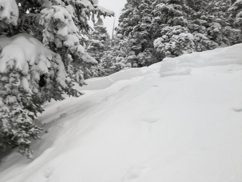 Avalanche crown Red Pine Drainage in Little Cottonwood Canyon.