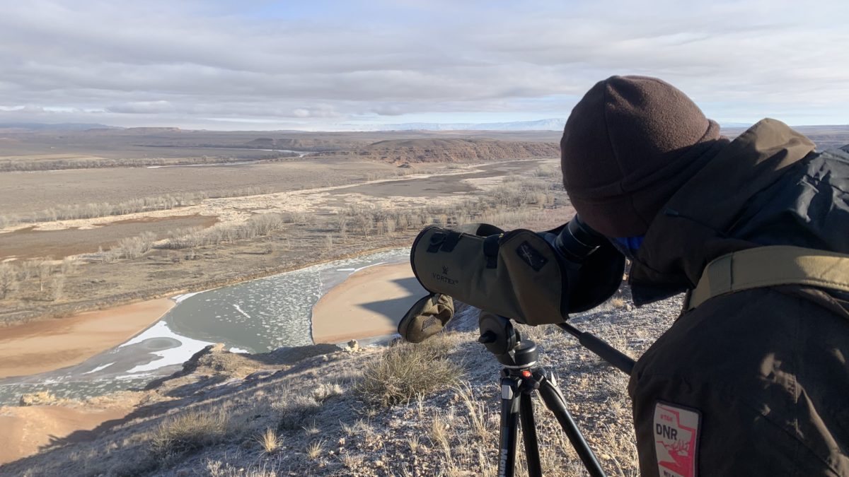 DWR biologist looking through spotting scope above the Green River.