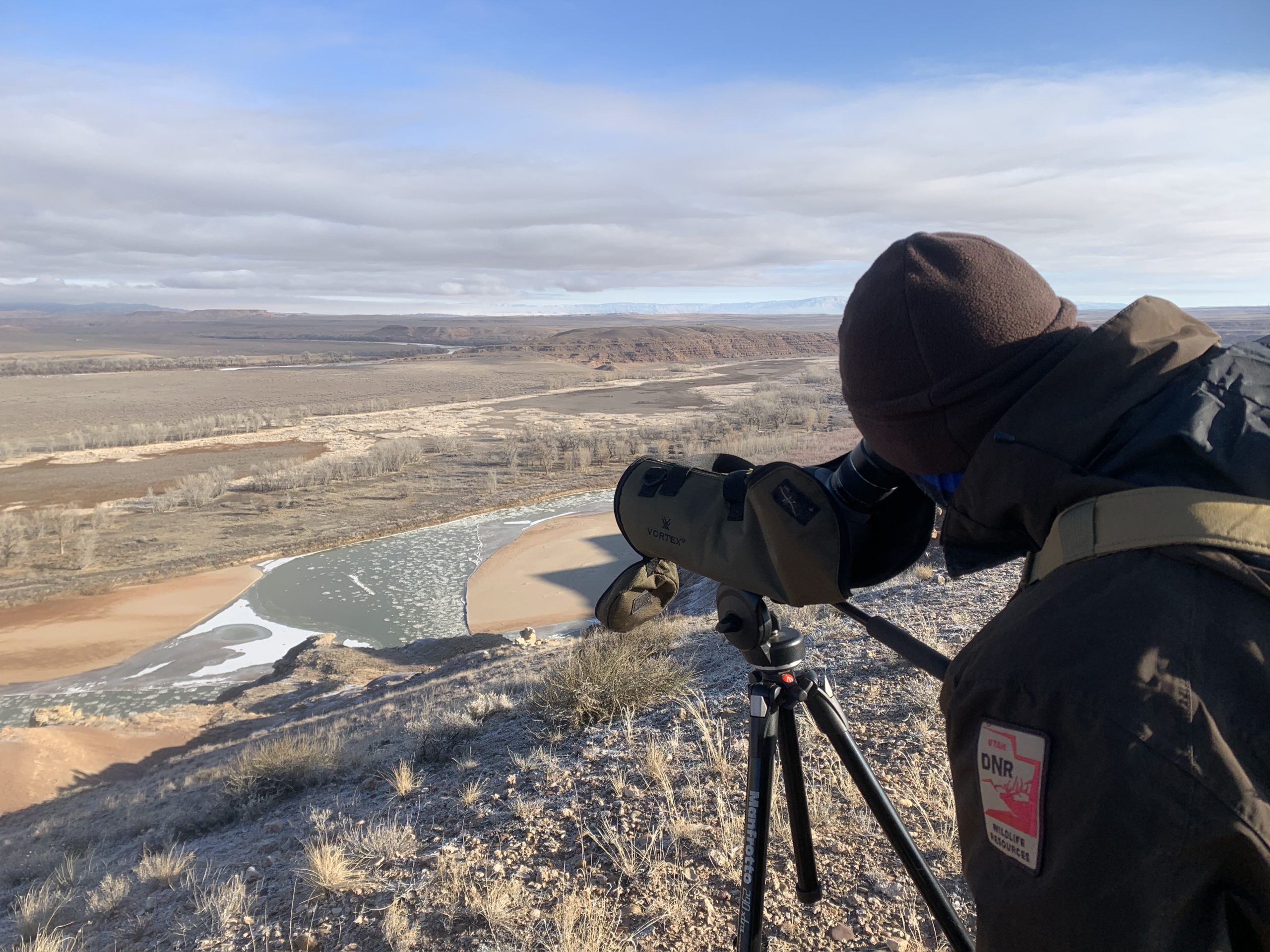 DWR biologist looking through spotting scope above the Green River.