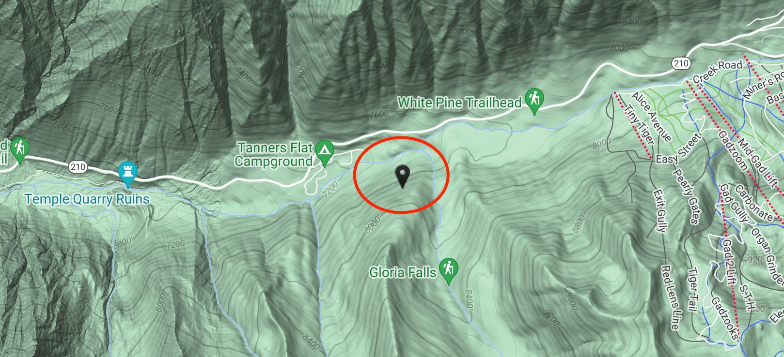 Red Pine Drainage Avalanche Location in Little Cottonwood Canyon