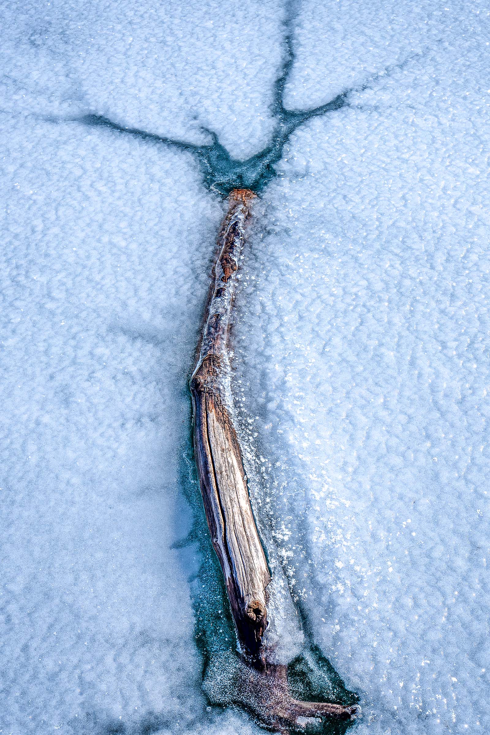 A log frozen into Little Dell Reservoir.