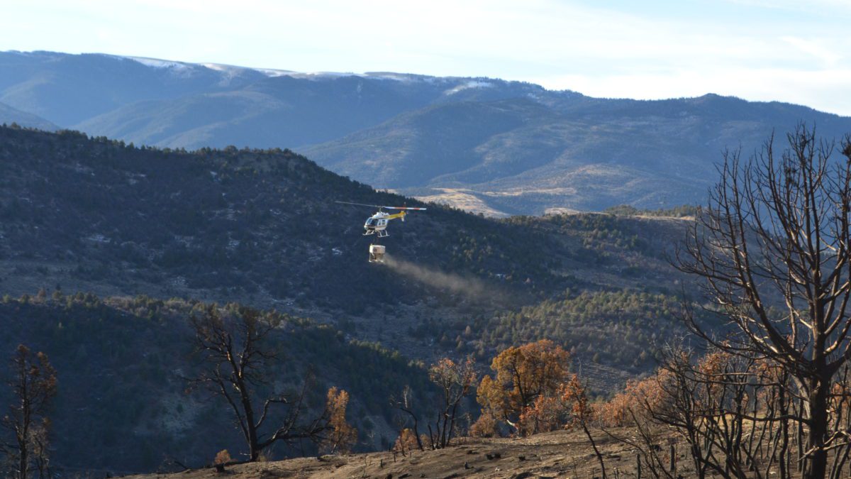 Aerial seeding being done via a helicopter after wildfire.