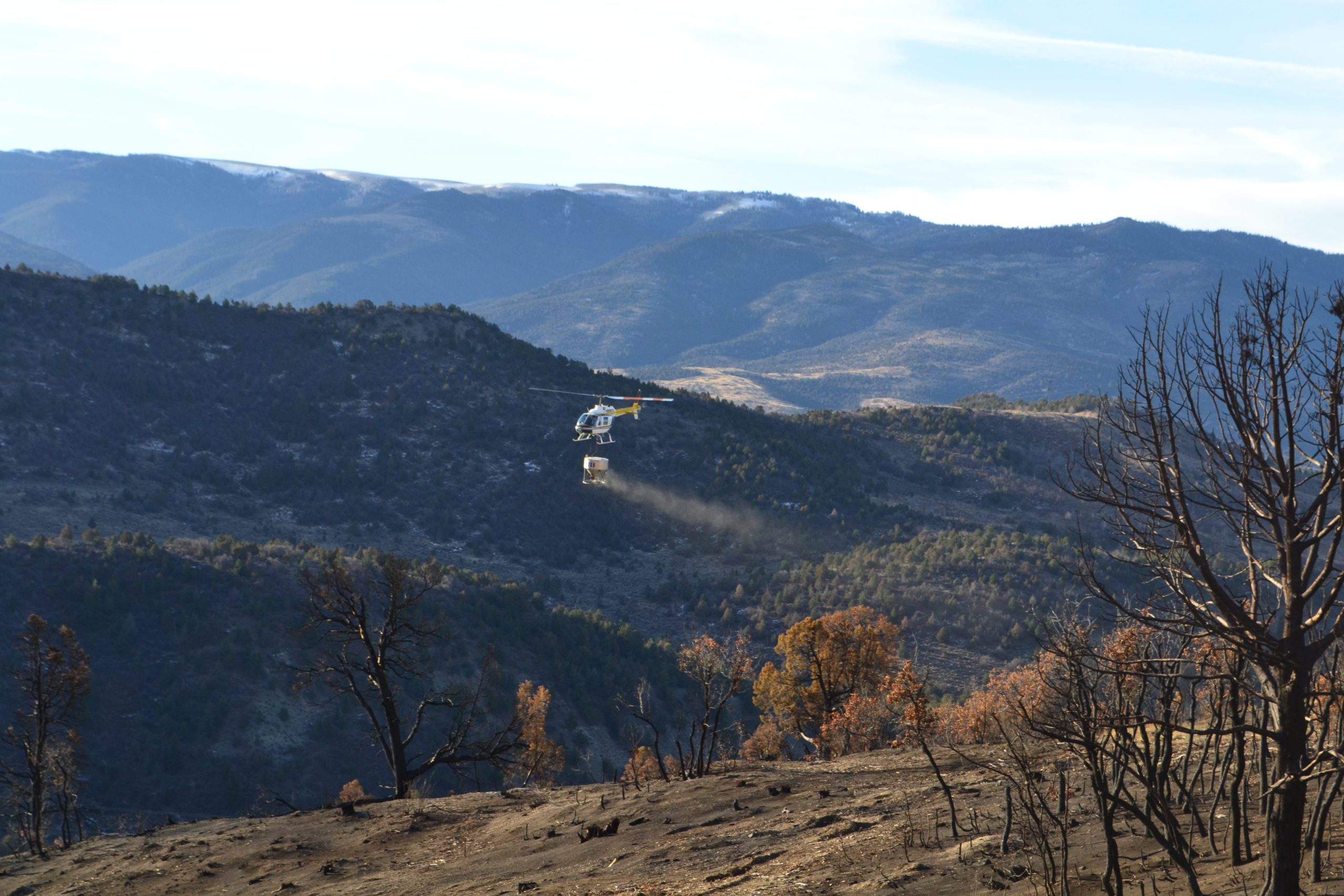 Aerial seeding being done via a helicopter after wildfire.