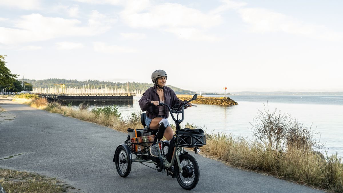 Rad Power Bikes has unveiled a new electric tricycle.