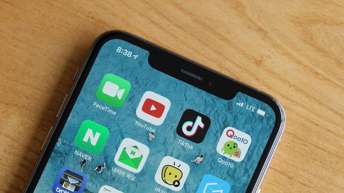 Congress has moved to ban the popular video sharing app TikTok from US government devices.