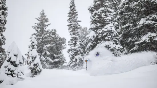 Can you spot the skier...or is it a yeti at Alta Ski Area?