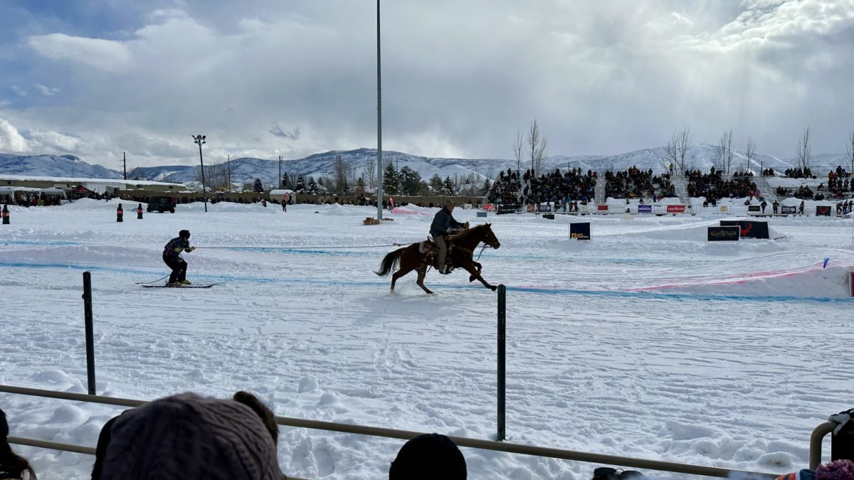 Another successful year for Utah SkiJoring, the crowds endured snow and shine, all for a good time.